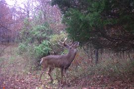 WGI_0009-(2)